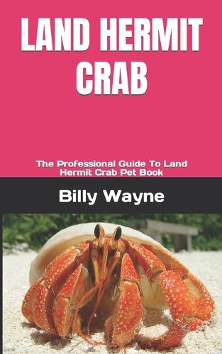 Land Hermit Crab