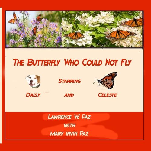 The Butterfly Who Could Not Fly