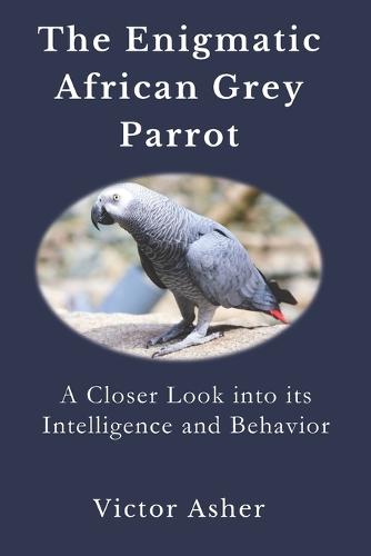 The Enigmatic African Grey Parrot