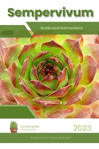 Sempervivum
