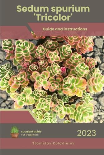 Sedum spurium 'Tricolor'