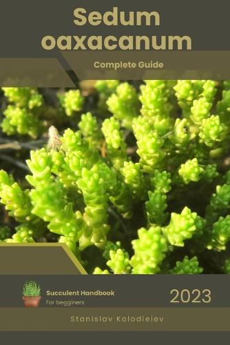 Sedum oaxacanum