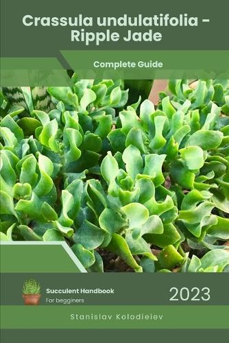 Crassula undulatifolia - Ripple Jade