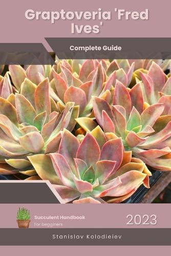 Graptoveria 'Fred Ives'