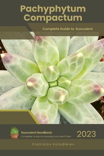 Pachyphytum Compactum