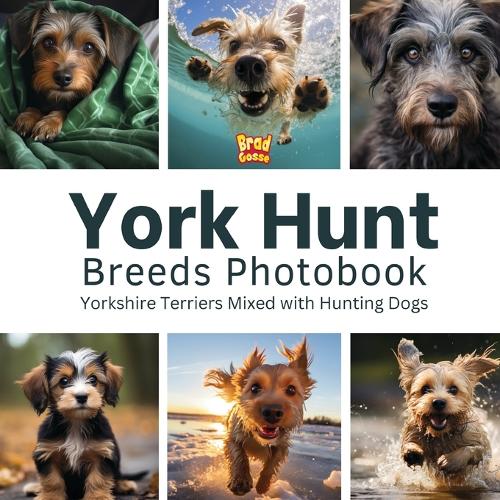York Hunt Breeds Photobook