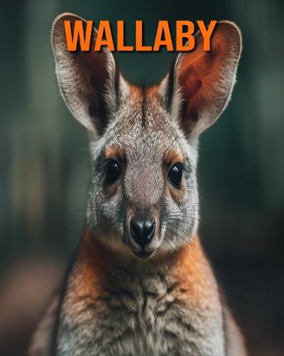 Wallaby