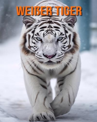 Weißer Tiger