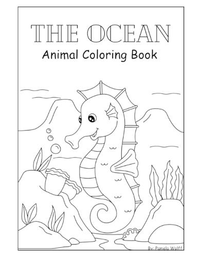 The Ocean
