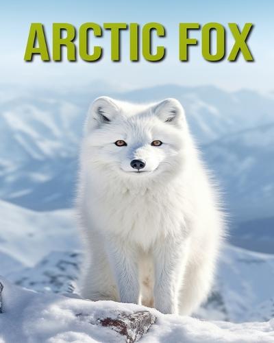 Arctic Fox