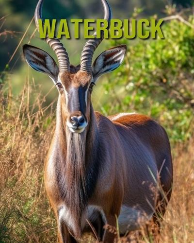 Waterbuck