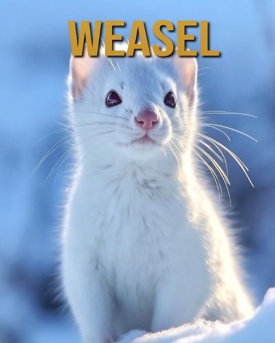 Weasel