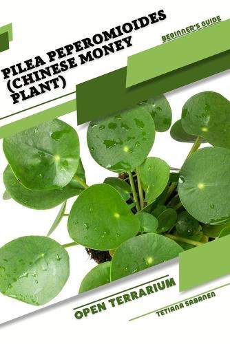 Pilea peperomioides (Chinese Money Plant)