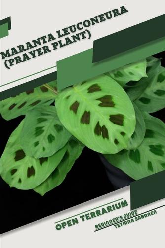 Maranta leuconeura (Prayer Plant)