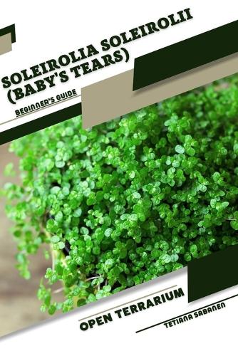 Soleirolia soleirolii (Baby's Tears)