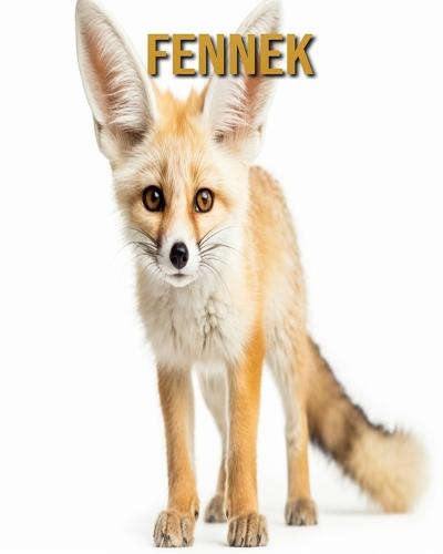 Fennek