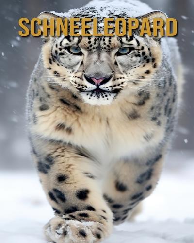 Schneeleopard