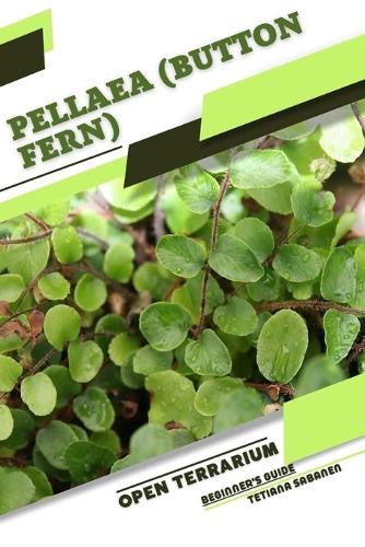Pellaea (Button Fern)