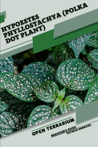 Hypoestes phyllostachya (Polka Dot Plant)