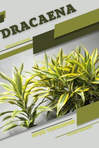 Dracaena