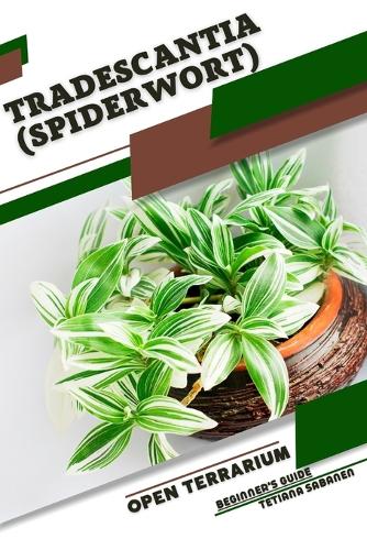 Tradescantia (Spiderwort)