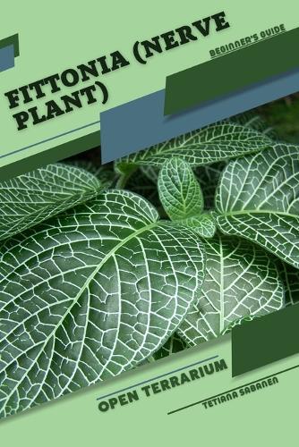 Fittonia (Nerve Plant)