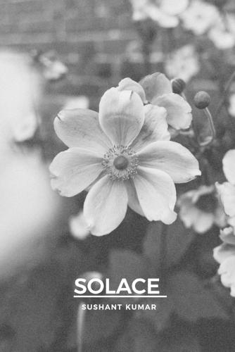 Solace
