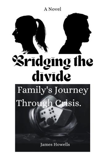 Bridging the divide