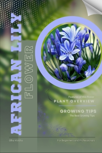 African Lily