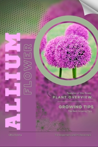 Allium