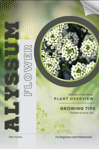 Alyssum