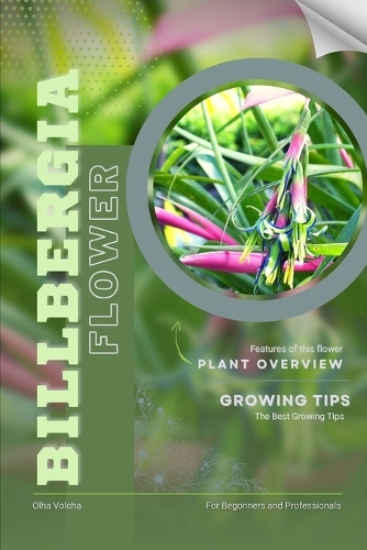 Billbergia