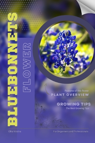 Bluebonnets