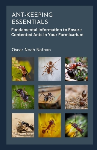 Ant-keeping Essentials