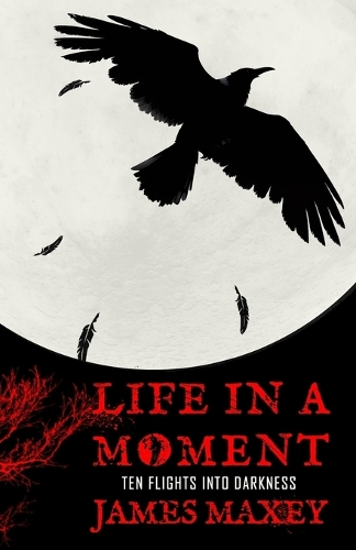 Life in a Moment