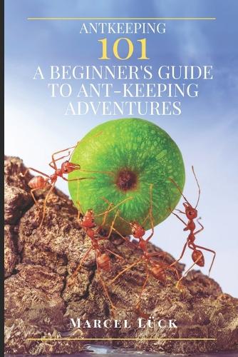 Antkeeping 101