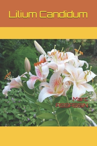 Lillium candidum