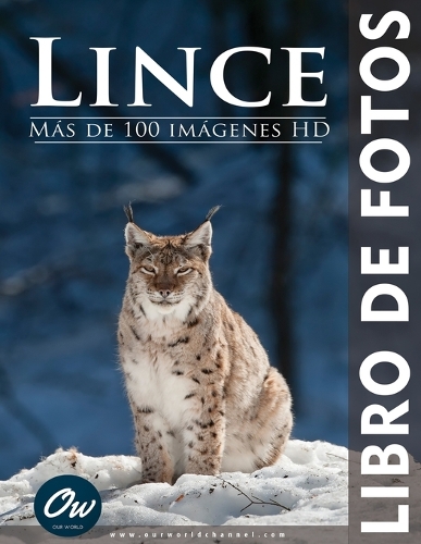 Lince