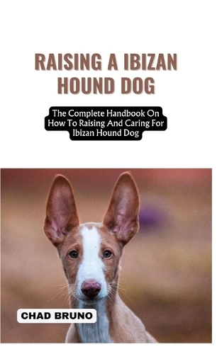 Raising a Ibizan Hound Dog