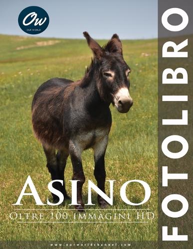 Asino
