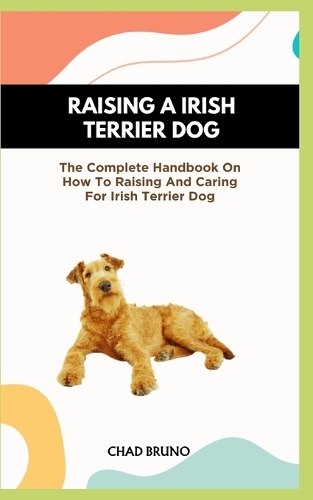 Irish Terrier Dog