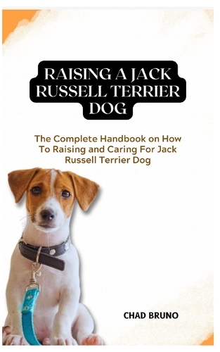 Jack Russell Terrier Dog