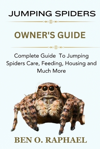Jumping Spider