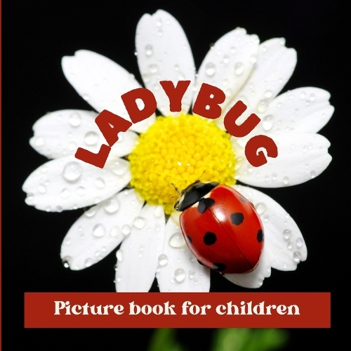 Ladybug