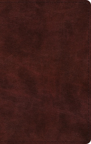 ESV Large Print Thinline Bible