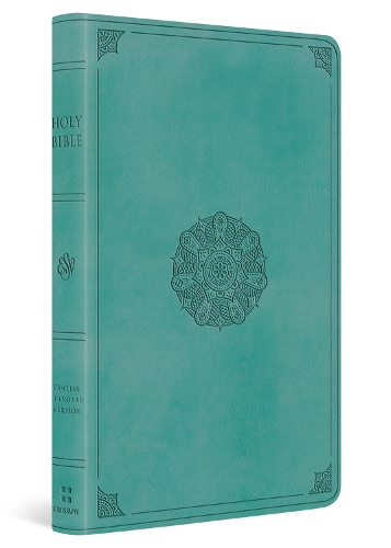 ESV Large Print Value Thinline Bible
