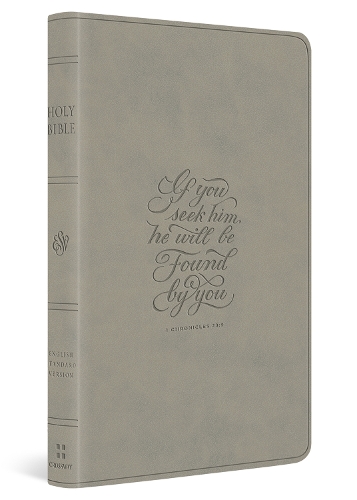 ESV Large Print Value Thinline Bible