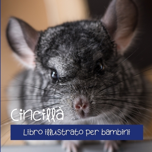 Cincillà