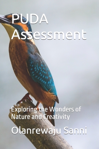 PUDA Assessment