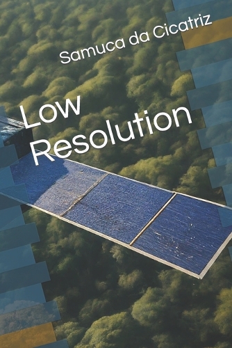 Low Resolution